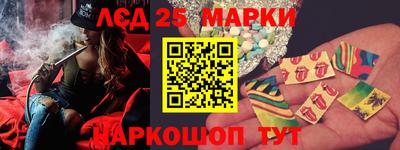 СК Бийск