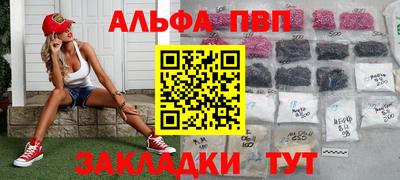 СК Бийск