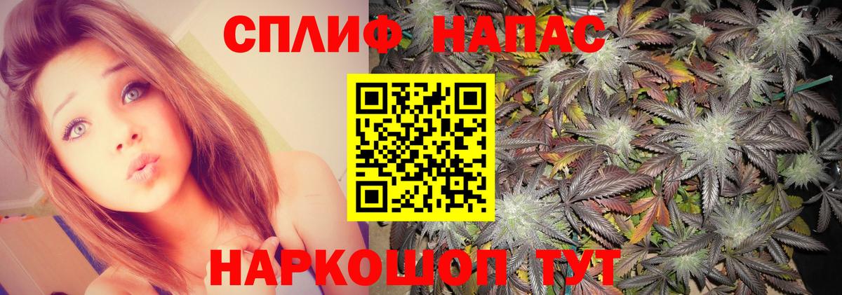 Конопля Ganja Северск